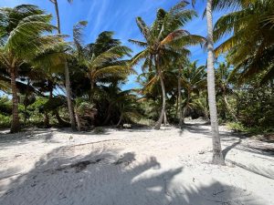 Beach View Palmero Point Lot 3- Call/Whatsapp +501-610-2731