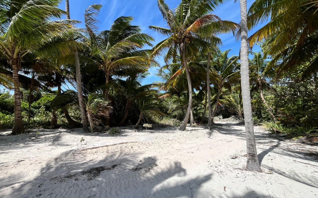 Beach View Palmero Point Lot 3- Call/Whatsapp +501-610-2731