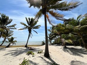 Beach View Palmero Point Lot #4- Call/Whatsapp +501-610-2731