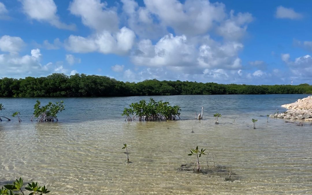 South Bay Parcel,  Over 100 Feet of Waterfront!