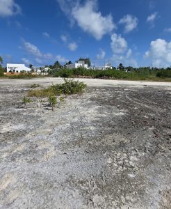 South Bay Parcel,  Over 100 Feet of Waterfront!