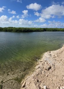 South Bay Parcel,  Over 100 Feet of Waterfront!