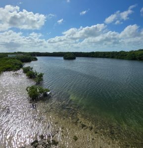 South Bay Parcel,  Over 100 Feet of Waterfront!