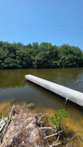 Waterfront Mahogany Bay Lot- 65 ft Canal Frontage Call/Whatsapp +501-613-9882