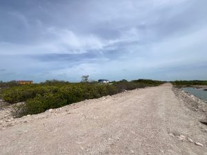 West Caye Secret Beach Lots- 4 Lots available All Together or Separately- Call/Whatsapp +501-613-9882