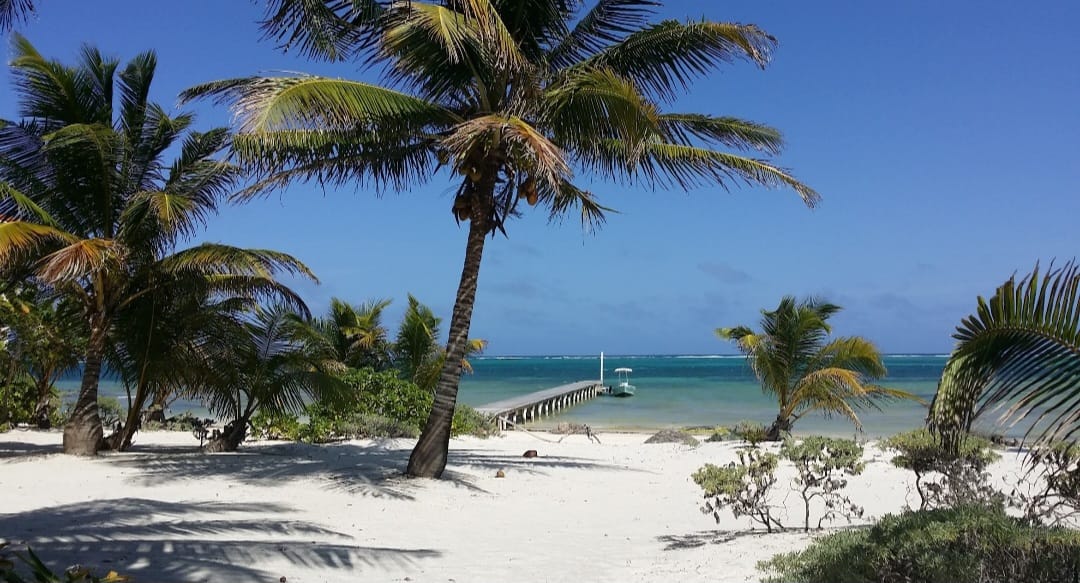 Your Oasis at Palmero Point Beach Club ! WhatsApp +501.610.2731