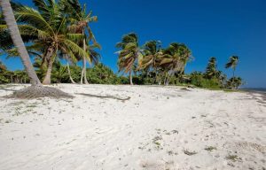 Your Oasis at Palmero Point Beach Club ! WhatsApp +501.610.2731