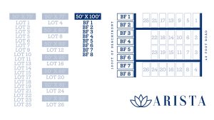 ARISTA Beach Club Beachfront Lots 1-8  Call for Pricing +501.610.2731