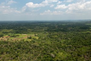 Belmopan – Maya Mopan – 167 Acres