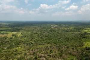 Belmopan – Maya Mopan – 167 Acres