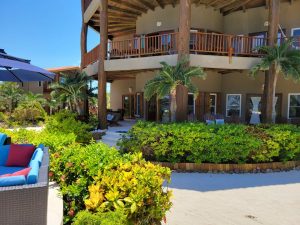 Indigo 3B 3.5B | Prime Beachfront Investment Opportunity in San Pedro! +501.610.2731 cell whatsApp