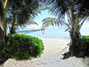 Indigo 3B 3.5B | Prime Beachfront Investment Opportunity in San Pedro! +501.610.2731 cell whatsApp