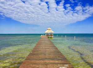 Indigo 3B 3.5B | Prime Beachfront Investment Opportunity in San Pedro! +501.610.2731 cell whatsApp