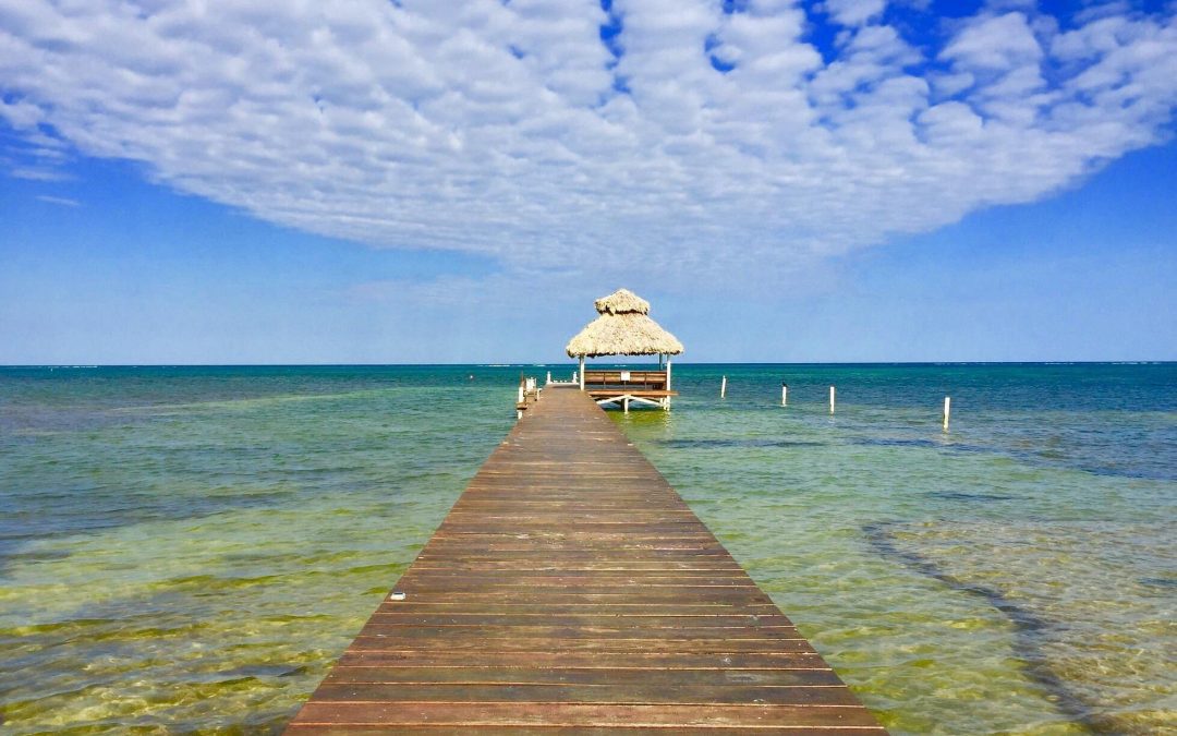 Indigo 3B 3.5B | Prime Beachfront Investment Opportunity in San Pedro! +501.610.2731 cell whatsApp