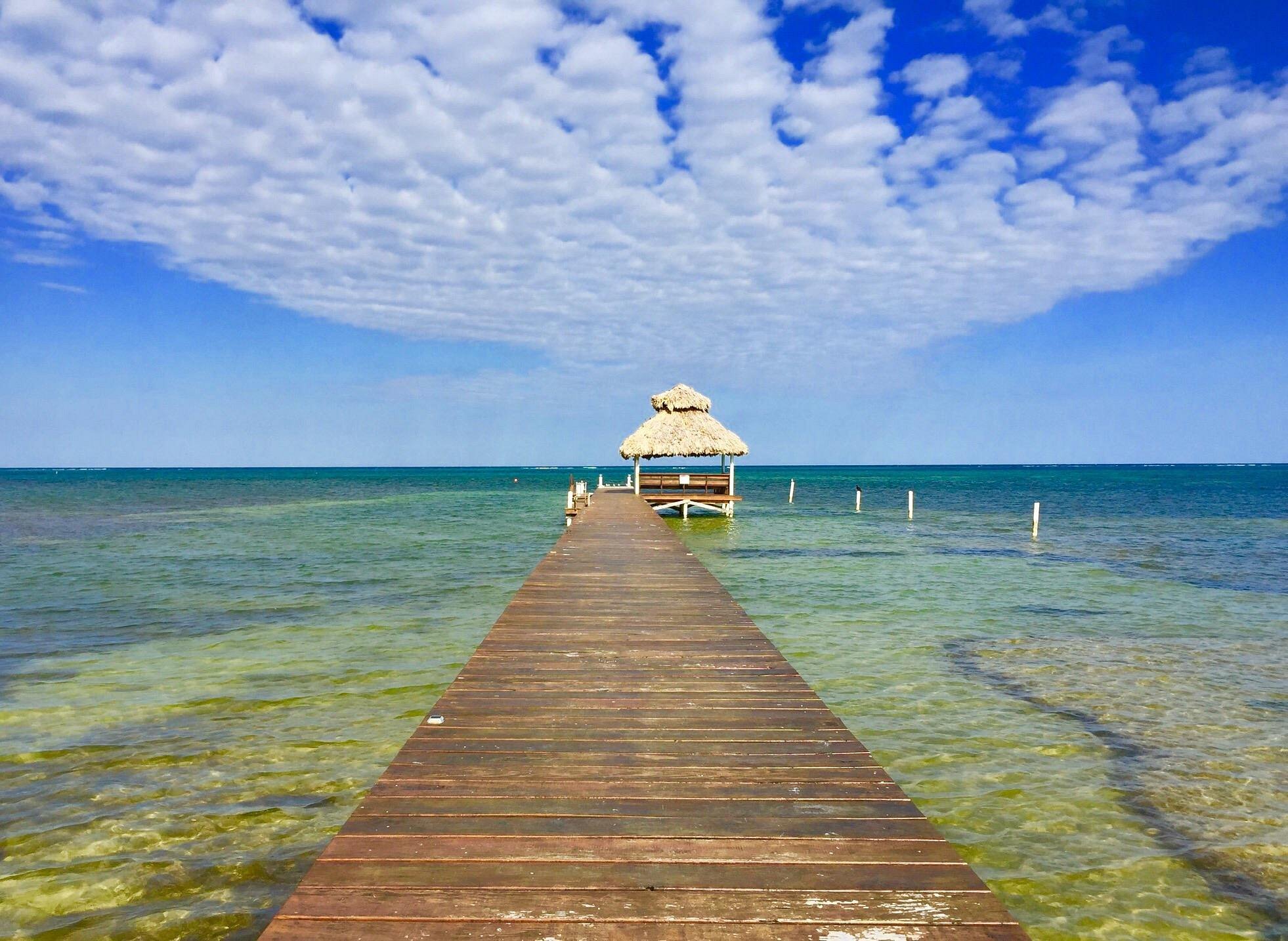 Indigo 3B 3.5B | Prime Beachfront Investment Opportunity in San Pedro! +501.610.2731 cell whatsApp