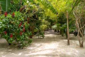 Investment Opportunity | Iguana Reef Inn; Boutique Caribbean Resort on Belize’s Premier Island Destination!