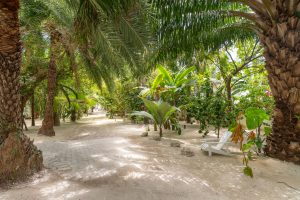 Investment Opportunity | Iguana Reef Inn; Boutique Caribbean Resort on Belize’s Premier Island Destination!