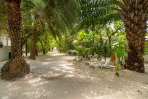 Investment Opportunity | Iguana Reef Inn; Boutique Caribbean Resort on Belize’s Premier Island Destination!