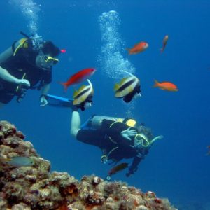 Investment Opportunity | Iguana Reef Inn; Boutique Caribbean Resort on Belize’s Premier Island Destination!