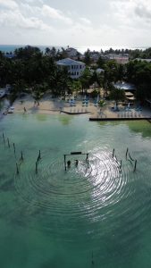 Investment Opportunity | Iguana Reef Inn; Boutique Caribbean Resort on Belize’s Premier Island Destination!