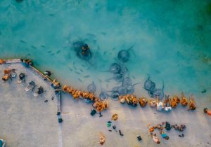 Investment Opportunity | Iguana Reef Inn; Boutique Caribbean Resort on Belize’s Premier Island Destination!