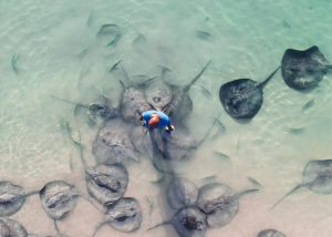 Investment Opportunity | Iguana Reef Inn; Boutique Caribbean Resort on Belize’s Premier Island Destination!